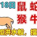 12月18日生肖運勢_鼠、蛇、龍大吉