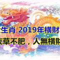 「馬無夜草不肥，人無橫財不富」三大生肖，2019年橫財不斷