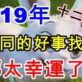 2019年，十二生肖將會有不同的好事找上門，都太幸運了！