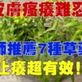 皮膚瘙癢難忍！中醫師推薦7種草藥清洗，超有效哦！！