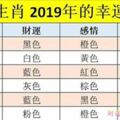 十二生肖2019年的幸運顏色，什麼顔色最旺你？看看就懂了