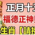 正月十五，福德正神賜福，八大生肖【請接財】，再不來就飛去別人家了