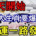 這6大生肖要爆發了，今天開始財運一路發！