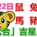 2月22日生肖運勢_馬、豬、狗大吉