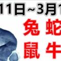 12生肖一周運勢（3月11日~3月17日）