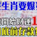 這些生肖要爆發了，19號開始財運一路發，三月底前存款暴漲！