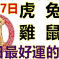 3月27日生肖運勢_虎、兔、羊大吉