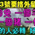 4月13號要格外留心了，一個兔，一個羊，一個豬，一個虎必須轉啊！會好運