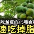 【健康小貼士】減肥不用愁越吃越瘦的15種食物