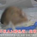 3歲男童從拆掉門窗的24樓陽台墜亡，3天後就是他生日