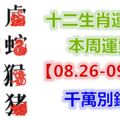 十二生肖運勢：本周運勢【08.26-09.01】千萬別錯失！