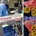 母子1死1休克，這種「致命菌」你家可能也有，千萬謹慎