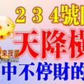 2，3，號開始橫財天降，三番五次大獎中不停的生肖