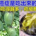 癌細胞是吃出來的？醫生提醒：4種食物吃得越多，癌細胞越高興，尤其第一種