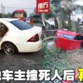 馬賽地車主想自殺變謀殺他人！　車禍現場留下疑團