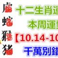 十二生肖運勢：本周運勢【10.14-10.20】千萬別錯失！