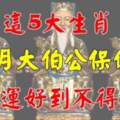 大伯公保佑，5月走好運、財運好的生肖