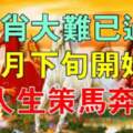 4生肖大難已過，5月下旬開始人生策馬奔騰