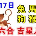 7月17日生肖運勢兔、馬、虎大吉