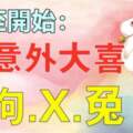 冬至開始（狗.X.兔）有意外大喜