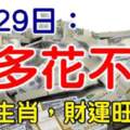 6月29日錢多花不完，財運旺久久的生肖