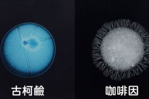 藝術家把11種最多人吸食的毒品放到顯微鏡下，透過鏡頭拍下光看也會上癮的毒品真面目！