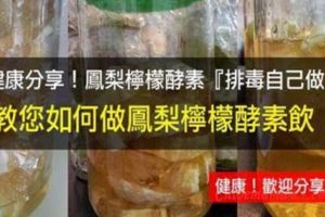 簡直製作鳳梨檸檬酵素」超簡單！便祕、排毒快速搞定！趕緊學起來！