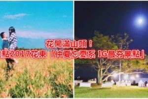 花開滿山頭！盤點2017花東「仲夏忘憂系IG最夯景點」：月光下的海洋音樂會徹底療癒身心靈