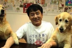 成龍寵愛家裡黃金獵犬「更甚兒子房祖名」，別人開價「一隻100萬」…他霸氣回絕「1億也不賣」！