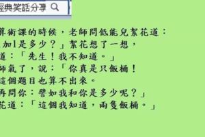 你們要看著我啊！不看我，你們怎麼知道非洲野豬長的是什麼樣子？