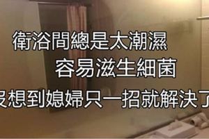 「衛浴間總是太潮濕」容易滋生細菌，沒想到媳婦只「一招」就解決了！乾爽極了~