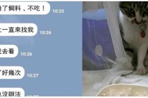 老媽幫餵飼料卻搞出一堆「黑人問號」，傳照片問女兒「怎麼不吃」...網友崩潰：吃給我看