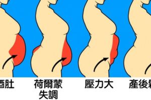 16種「不同體態隱藏著的健康狀況」　蘋果型身材內臟脂肪太多會有糖尿病