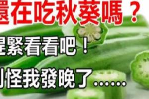 還在吃秋葵的？趕緊看看吧！別怪我發晚了……