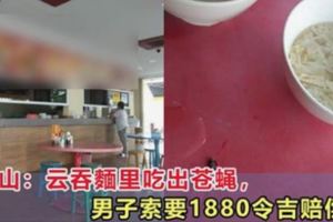 雲吞面裡吃出蒼蠅，男子索要1880令吉賠償！