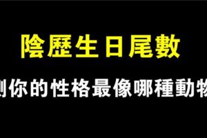 性格測試：陰曆生日尾數，測你最像哪種動物