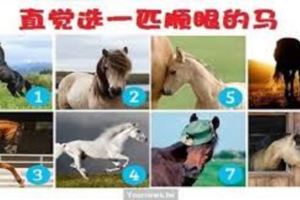 測：哪匹馬最順眼？測你的未來人生及慾望？