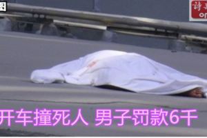 開車撞死人男子罰款6千