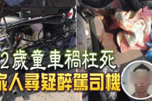 2歲童車禍枉死家人尋疑醉駕司機