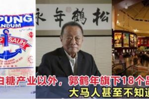 除了白糖產業以外，郭鶴年旗下的那些品牌，大馬人甚至不知道！