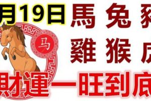 8月19日生肖運勢_馬、兔、豬大吉