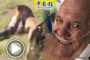 男子聞到怪味進柵欄檢查-遭發狂獅子咬住拖走