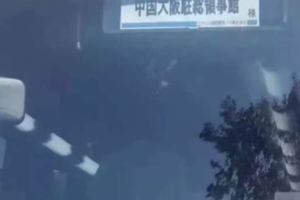 影》打臉公然說謊秀下限大陸派車關西機場接人地點曝光