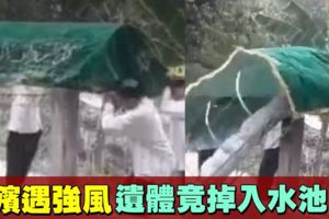 出殯罕見意外4男遇強風失衡遺體掉入池