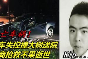 轎車失控撞大樹送院華商搶救不果逝世