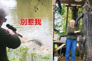 史上最愛記仇！「養的馬被鱷魚吃掉」73歲阿嬤足足記恨3年…一槍把牠解決