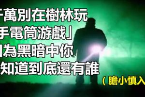 千萬別在樹林玩「手電筒游戲」！！因為黑暗中你不知道到底還有誰...（膽小慎入）