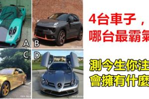 心理測試：4台車子，哪台最霸氣？測今生你註定會擁有什麼！