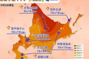 2018北海道賞楓預測&８大賞楓景點