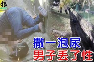 撒一泡尿男子丟了性命